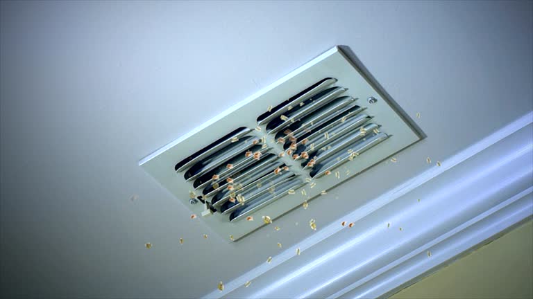 Best Air Duct Cleaning Near Me  in Licking, MO