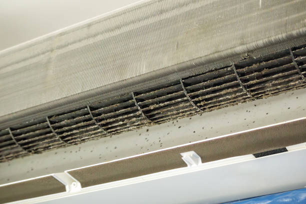 Best Air Duct Cleaning Near Me  in Licking, MO