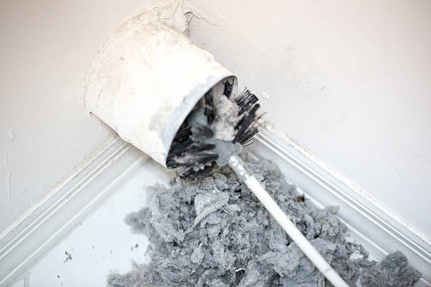 Best Ductwork Cleaning Services  in Licking, MO
